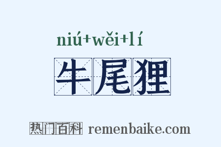 牛尾狸是什么意思的图片